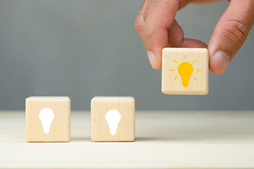 宠物培训学校前十