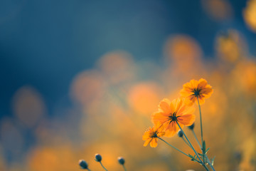 有关春秋战国时期的历史故事有哪些