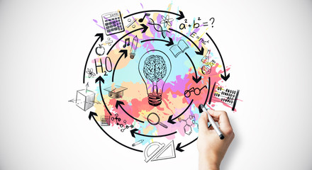 宠物培训学校前十