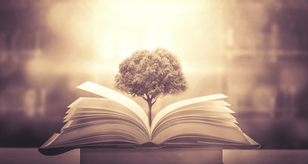 我国具有完全自主知识产权的汽车都有哪些品牌？