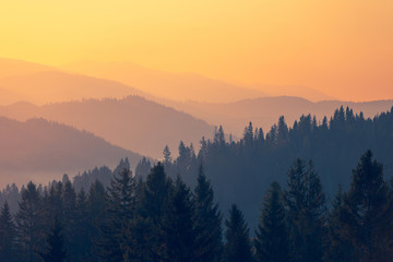 汽车无缘无故被别人划了怎么办