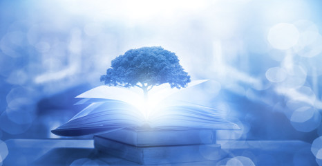 开心超人联盟之谜之城结局什么意思