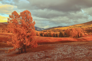 分析仪《扁鹊见蔡桓公》给予扁鹊在此医患沟通中提出一条建议？
