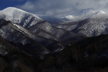 广东茶文化的饮茶习惯