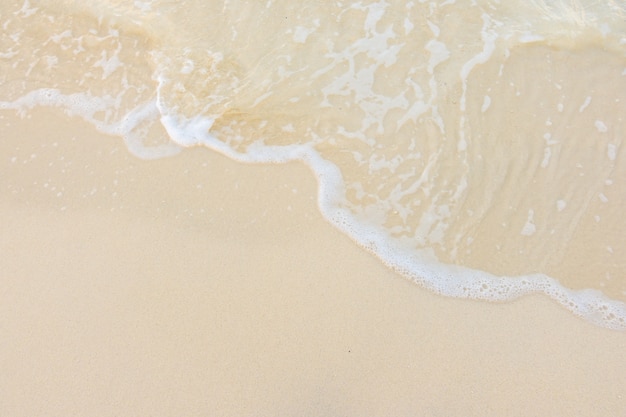 广东茶文化的饮茶习惯