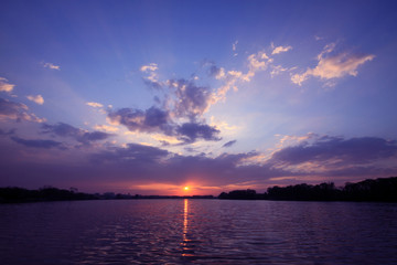 宠物培训学校前十