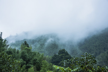 发动机油耗高怎么解决